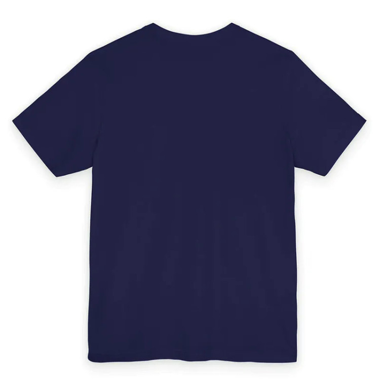 تیشرت آستین کوتاه یقه گرد مردانه طرح بریکینگ بد جنس نخی مدل کلاسیک کد 210